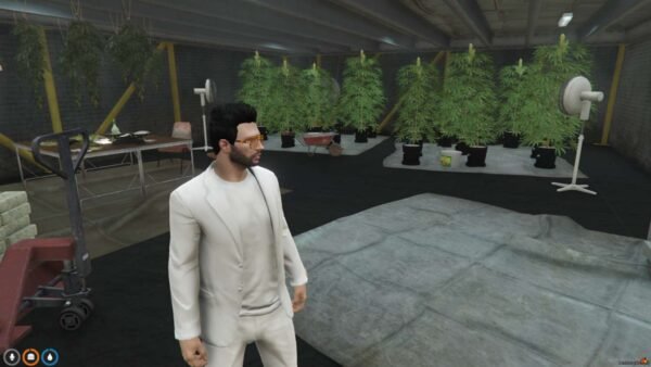 FiveM Weed Farm YMAP